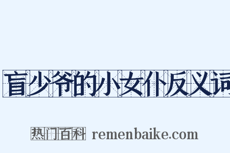 盲少爷的小女仆反义词是什么意思的图片